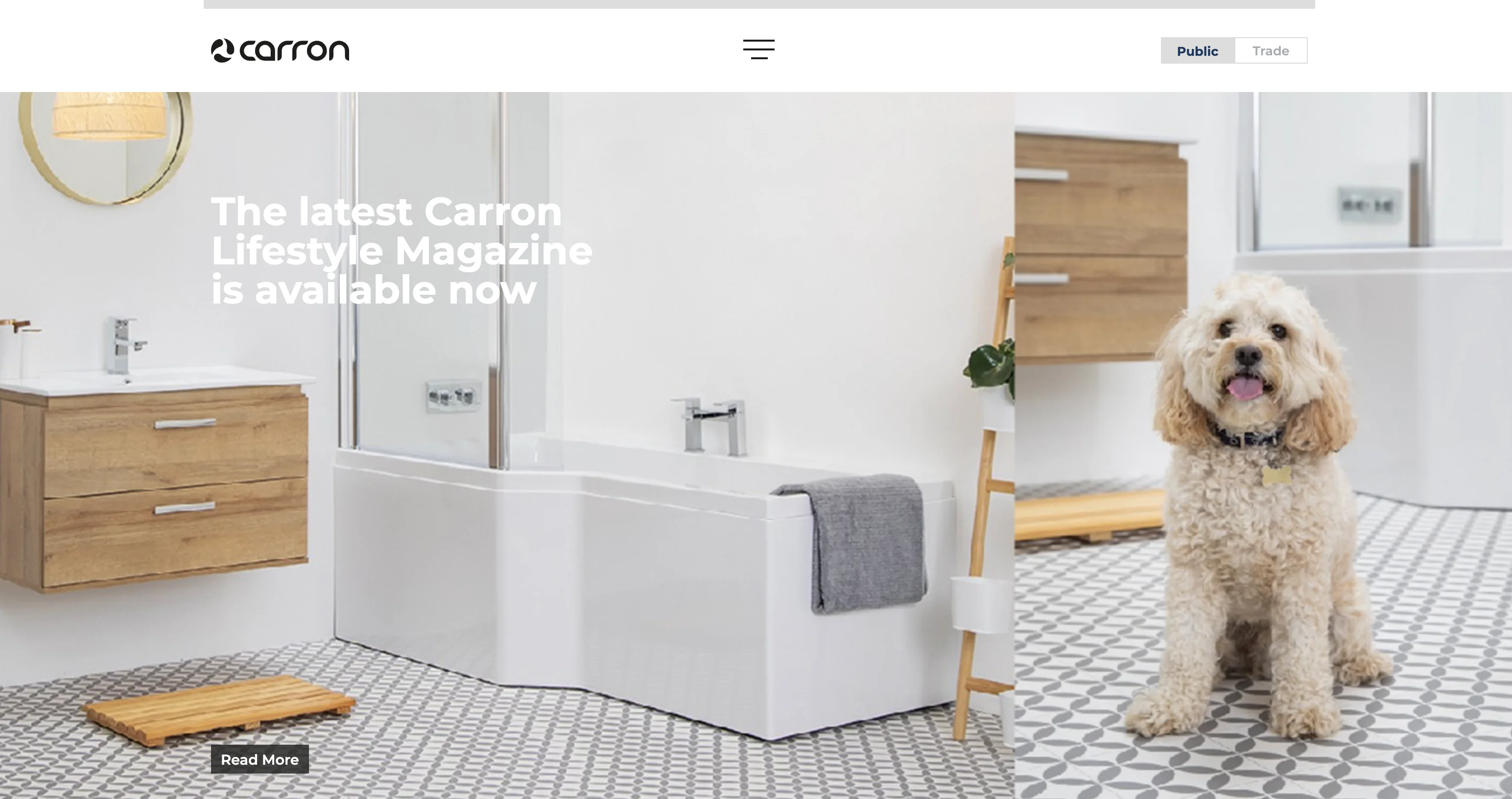 Carron website screenshot